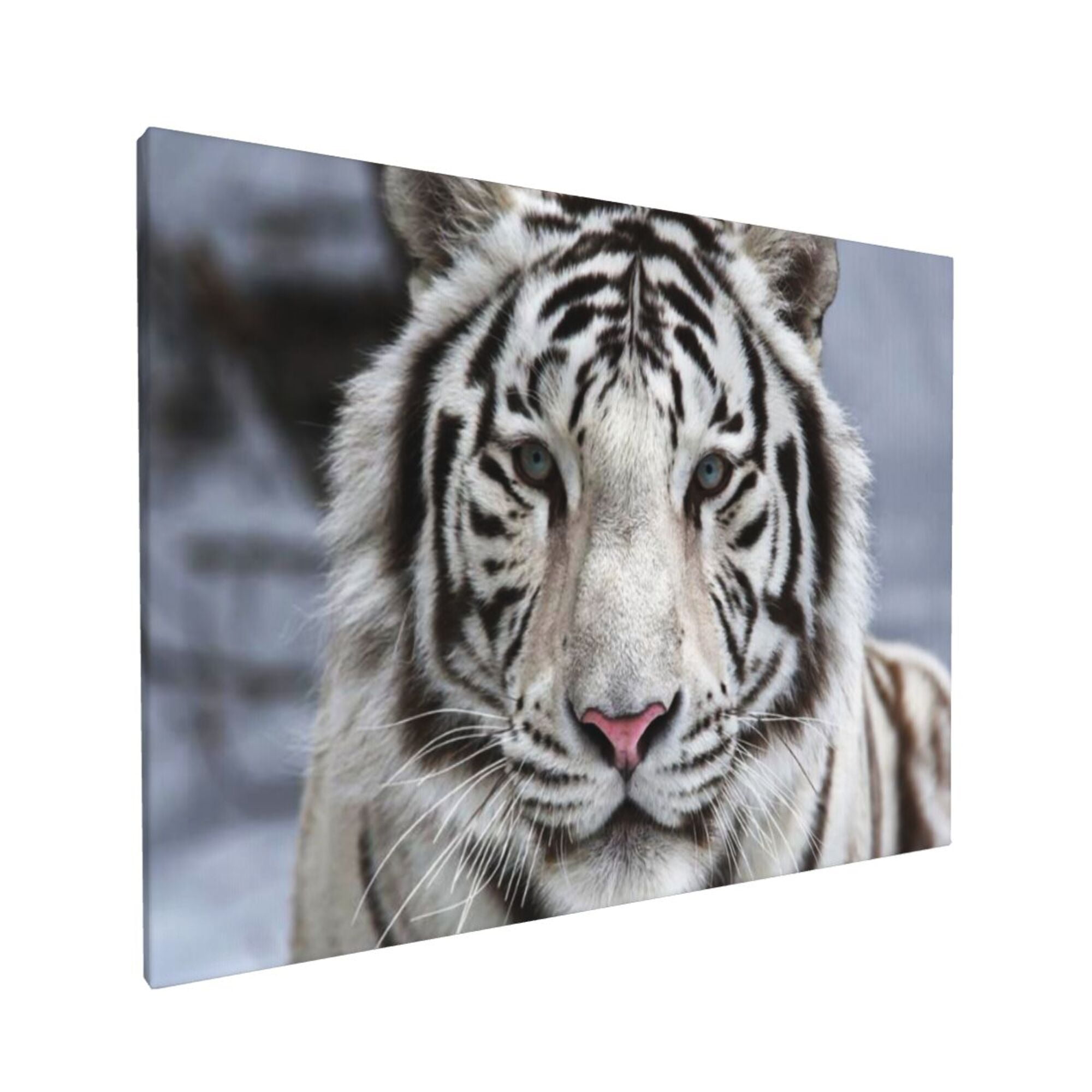 Canvas Modern White Framed For Living Bathroom Decor Bedroom Painting Room Bathroom Wall Decorations Tiger 12x16in Decor Artwork