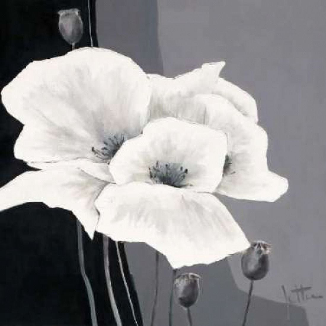 Decora I Canvas Art - Jettie Roseboom (24 x 24)