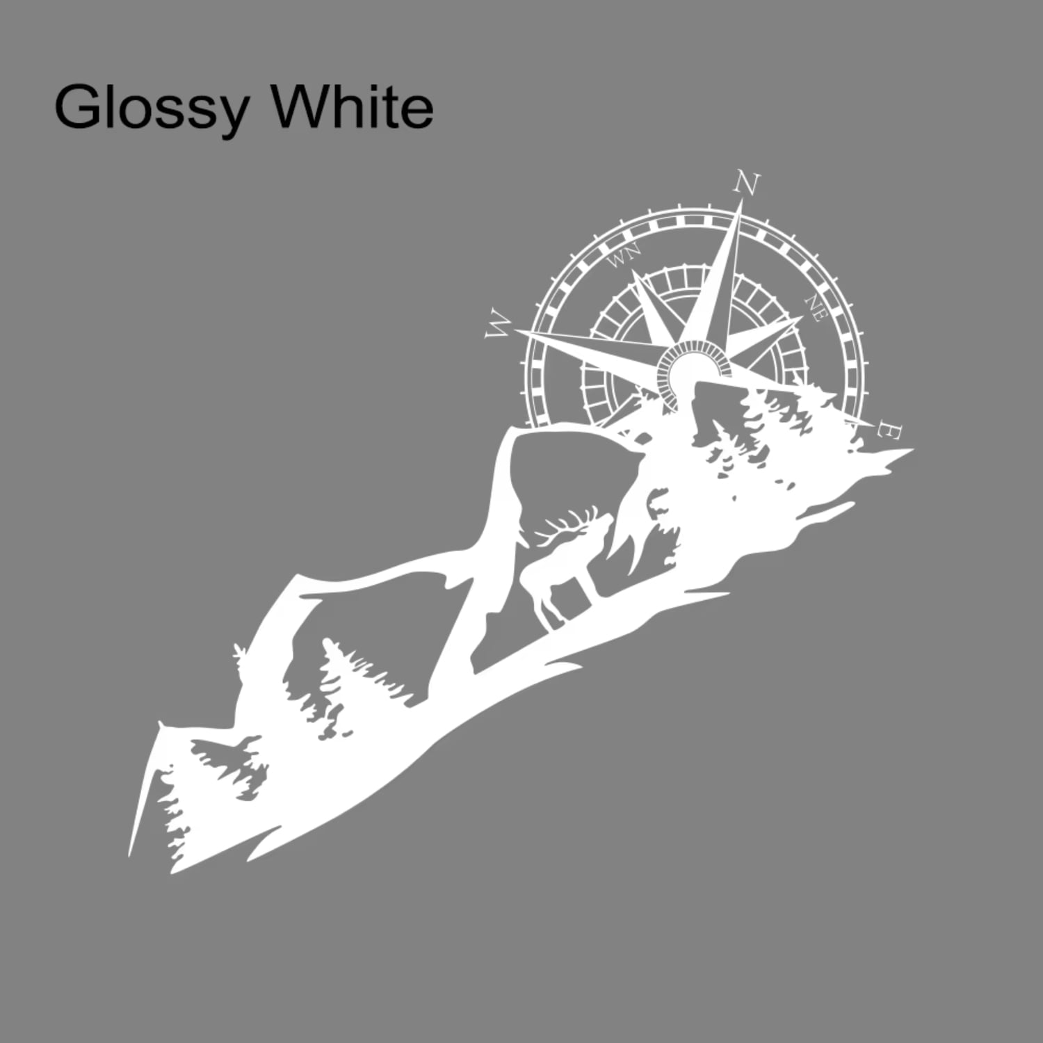 Decorate your Motorhome Horsebox Caravan RV or Camper Van with Stunning