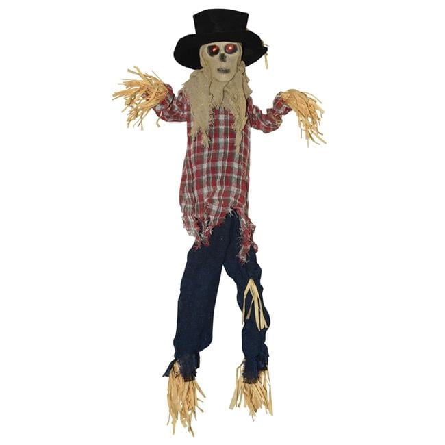 Scare Crow Scare Crow