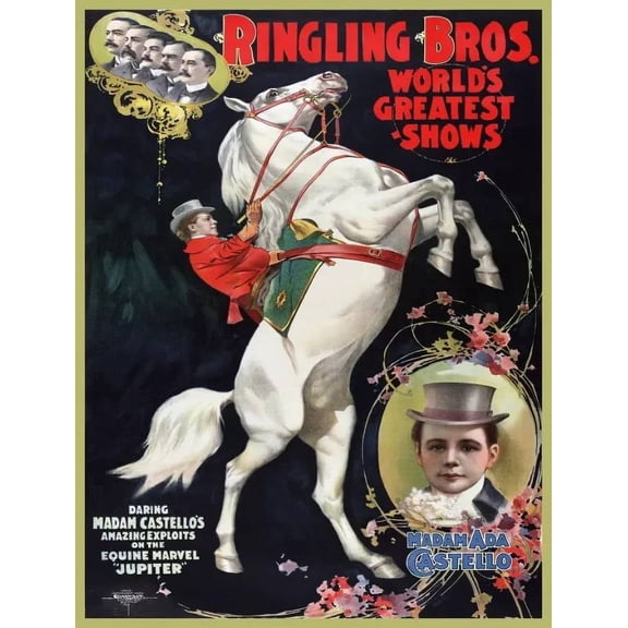.Decoration Poster.Home Room wall art design.Ada Castello rides White Horse 11 x 17 Inch Poster