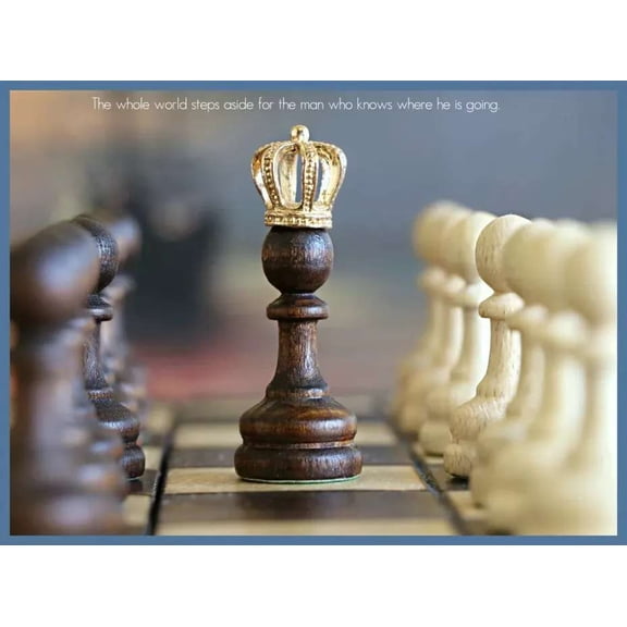 .Decoration Poster.Home Room wall design print.King pawn inspiration chess 16 x 24 Inch Poster