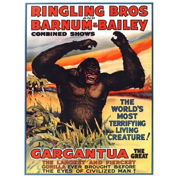 .Decoration Poster.Home Room wall interior art design.Gargantua big gorilla 16 x 24 Inch Poster