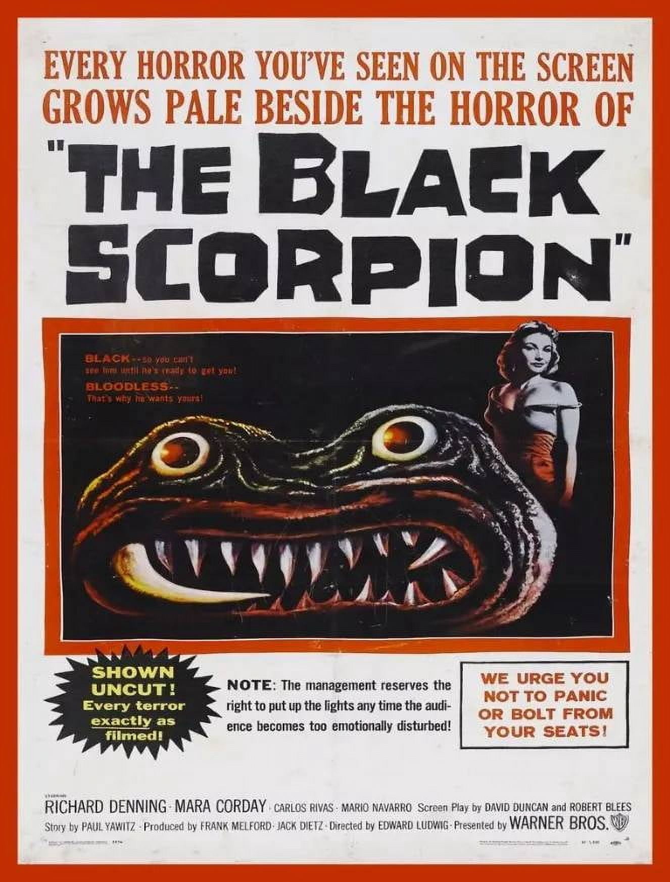 .Decoration Poster.Room wall design.Retro B movie film The Black ...