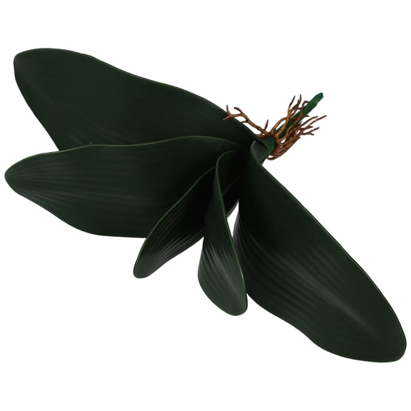 GOOHOCHY Orchid Leaves Real Looking Phalaenopsis Orchid Leaf Green 1Set 10.2X3.3X0.6In