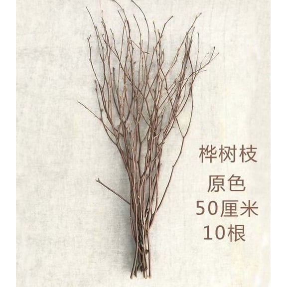 Decorative Branches for Vases, Centerpieces & DIY Crafts