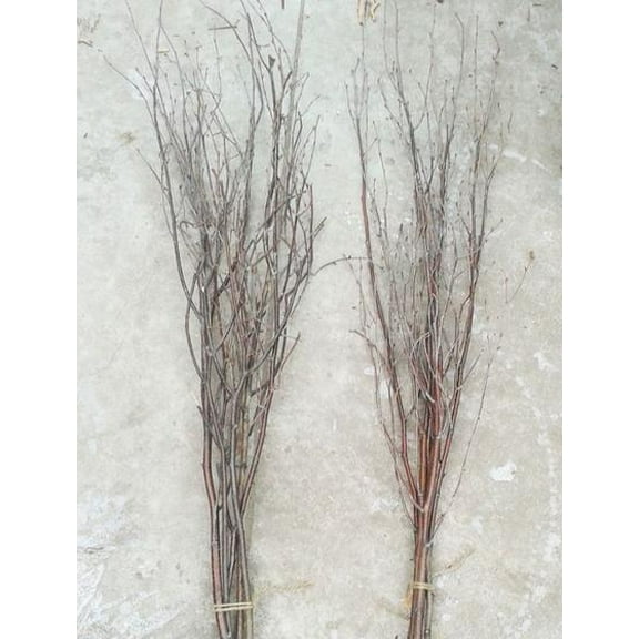 Decorative Branches for Vases, Centerpieces & DIY Crafts