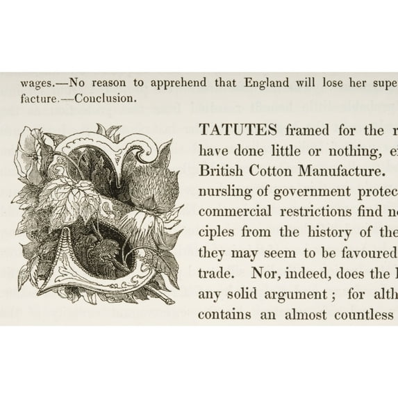 Decorative Capital Initial Of Letter S by Ken Welsh / Design Pics (18 x 11)