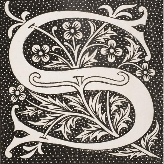 Decorative Capital Letter S Poster Print, Large - 28 x 30