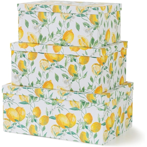 Decorative Cardboard Storage Boxes with Lids for Home Decor and Organization, Set of 3 Large Keepsake Boxes for Memories & Gifts, Nesting Floral Photo Storage Containers, Zesty Lemons