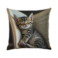 thumbnail image 1 of Decorative Cat Pattern Pillow Covers - Soft Fabric with Hidden Zipper - Perfect for Home Decor and Couch Styling - 1 Pack - Ideal for Pet Lovers and Cat Enthusiasts, 1 of 5