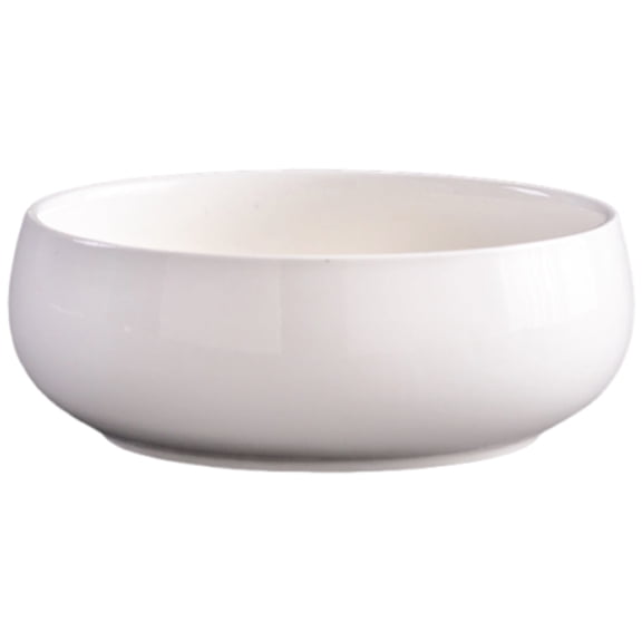 Decorative Ceramic Pots Flower Bowl Container for Narcissus and Green Radish Modern Indoor Spaces Indoor Water Gardening