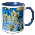 thumbnail image 1 of 3drose, Decorative Cherry Tree Branches Strewed with White Flowers, 15oz Two-tone Blue Mug, 1 of 6