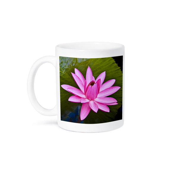 Decorative Colorful Garden Botanic Classic Plant Water Lily Green Red Flower, 15oz Mug