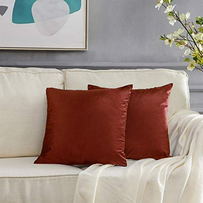 Decorative Couch Throw Pillow Cover,Sofa 20x20 Burnt Orange Throw
