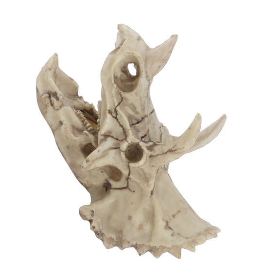 Decorative Craft Resin Dinosaur Triceratops Skull Model Simulated Skeleton Home Office Display Decorative Craft