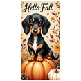 thumbnail image 1 of Decorative Design Autumn Banner Dachshund Fall Decoration for Seasonal Celebration Indoor Decor Outdoor Event, 1 of 9