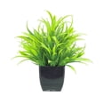 thumbnail image 1 of Decorative Fake Plants Indoor Greenery, Simulation Plastic Potted Plant for Home Decor, Realistic Artificial Flowers, Stable Arrangement, Low Maintenance, 20x7x7cm, 1 of 7