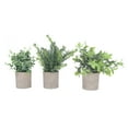 Decorative Faux Greenery for Desktop and Office Pack of 3 Artificial