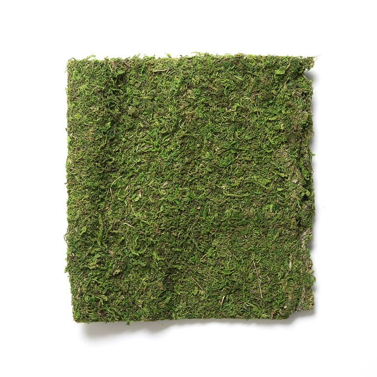 Decorative Floral Moss Cloth: 16 x 18 inches