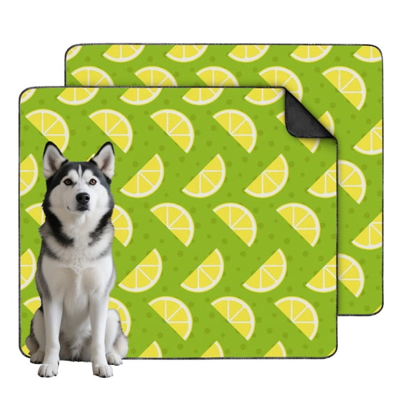 Decorative Fruit Dog Pee Pads Reusable, Washable Non-Slip Training Pad for Apartment Living and Tile Floors (Fruit patterns, 35"x41")