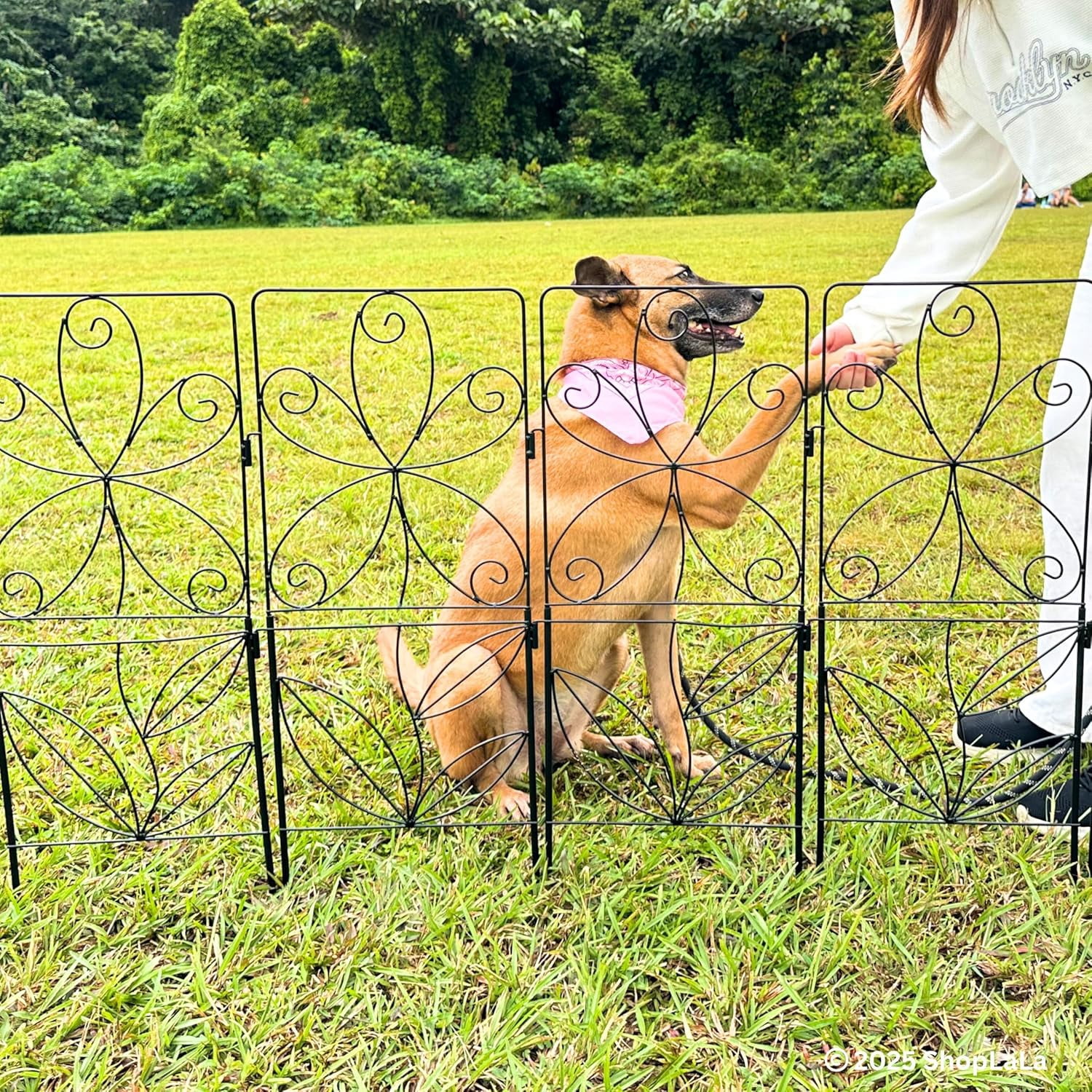 Decorative Garden Fence 10 Panels 12.5in x 31in Rustproof Metal Wire for Landscape, No- Animal Barrier for Small Dogs