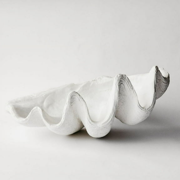 Decorative Giant Clam Shell