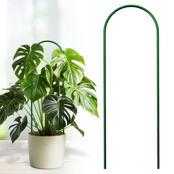 Decorative Green Plant Stakes, Metal Climbing Plant Supports for Indoor Potted Vines Hoya Ivy, Sculptural Trellis, By Preplabs