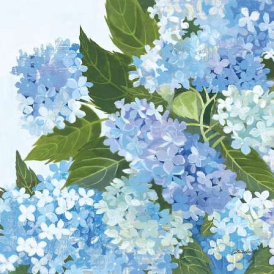 Decorative Hydrangea I Canvas Art - Kathrine Lovell (24 x 24)