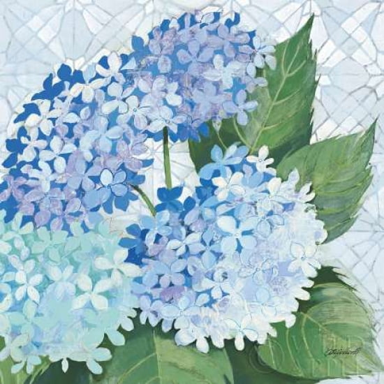 Decorative Hydrangea II Canvas Art - Kathrine Lovell (24 x 24)