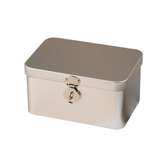 Decorative Iron Box With Security Lock Key Retro Designs Desktop Organizers Household Use