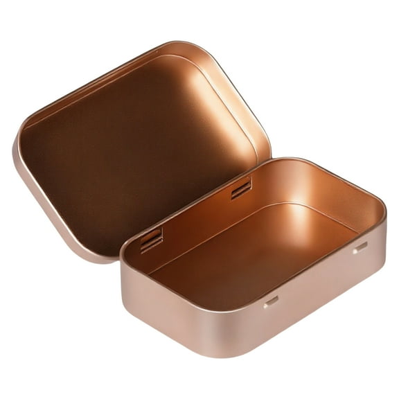 Decorative Iron Storage Tins With Easy Access Lid Rustproof Organizers Container 2 Pack