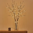 Decorative Lighted Willow Branches, Warm White 100 LED with Timer ...