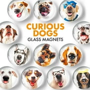 Decorative Magnets for Fridge – Glass Magnets for Refrigerator – Cute Fridge Magnets for Office and Kitchen – Succulent Whiteboard Magnets for Locker