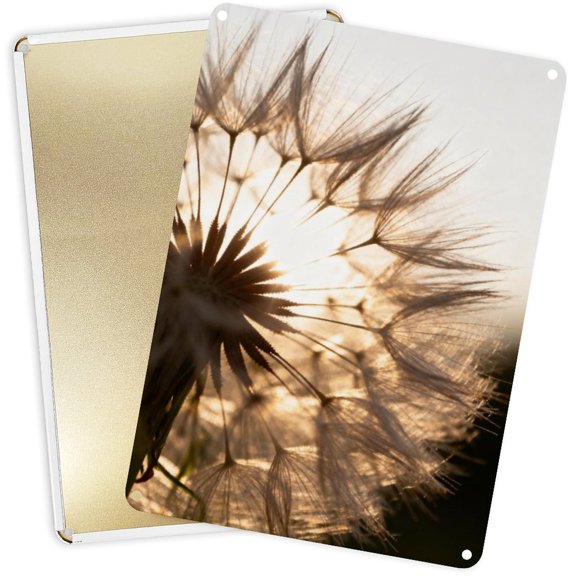 Decorative Metal Signs Plaques Warm-Toned Backlit Dandelion for Home Yard Decor 16x12inch