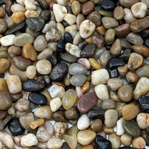 Decorative Mixed Pebbles for Plants & Terrariums | Polished Natural Stones | 3/8" Size (10-lb Bag)