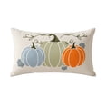 thumbnail image 1 of Decorative Pillow | Embroidered Pumpkin Design Fall Pillow Cover for Fall Decor | Harvest Pumpkin Decor Home Decor Accent for Couch Sofa, 1 of 9