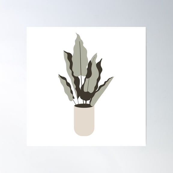 Decorative Plants Flat Illustration Poster Wall Art, Modern Wall Decor For Living Room Bedroom, 30x30 UNFRAMED