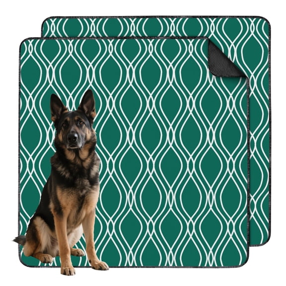 Decorative Puppy Pads, Washable Reusable Potty Pads to Blend with Your Home Decor (Texture/leopard /Geometry, 24" x35" )