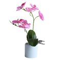 thumbnail image 1 of Decorative Real Touch Silk Orchid Bonsai, Artificial Flowers with Flower Pots Fake Flowers Arrangements for Home Wear-resistant No Withering Orchid Simulation Bonsai Flower, 1 of 8