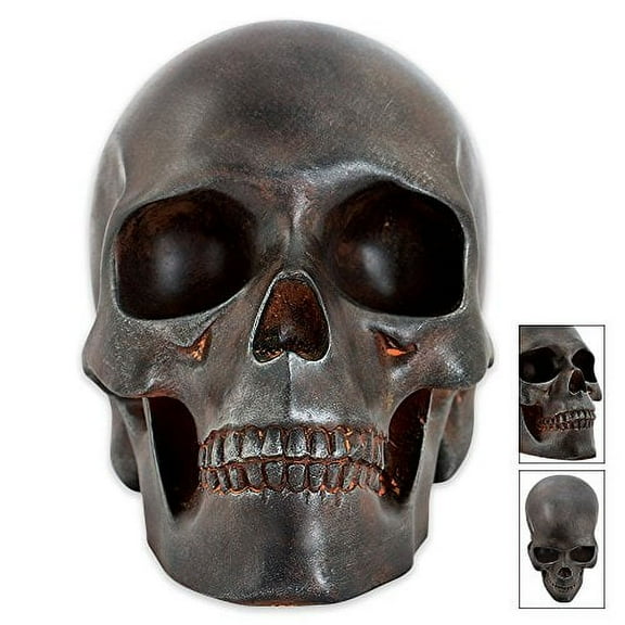 Decorative Rust Colored Skull Head Skeleton Figurine Statue Display