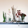 thumbnail image 1 of Turgla Decorative Senses dia.6" h:7" Round Clear Glass Bowl (Set of 4) (19197), 1 of 1