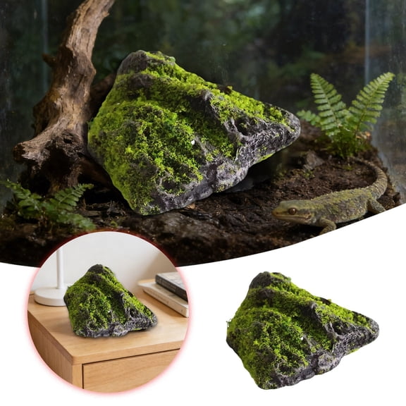 Decorative Stones for Home - Realistic Terrarium and Centerpiece Enhancers, 10.238.26 inch, Green