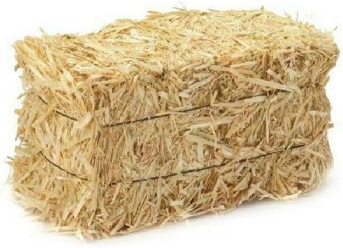 Decorative Straw Bale 5 Inch X 6 Inch X 13 Inch Natural