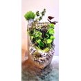 thumbnail image 1 of Decorative Terrarium Planter Waterfall Fountain with Stone Design, Live Mixed Plants, Indoor Garden Display, 58 Inch, 1 of 5