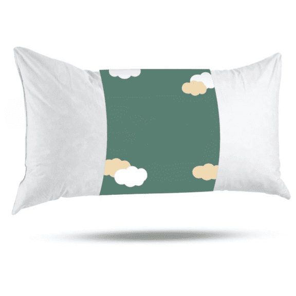 Decorative Throw Pillow Insert, Down and Feather Fill, 100% Cotton Cover, 233 Thread Count