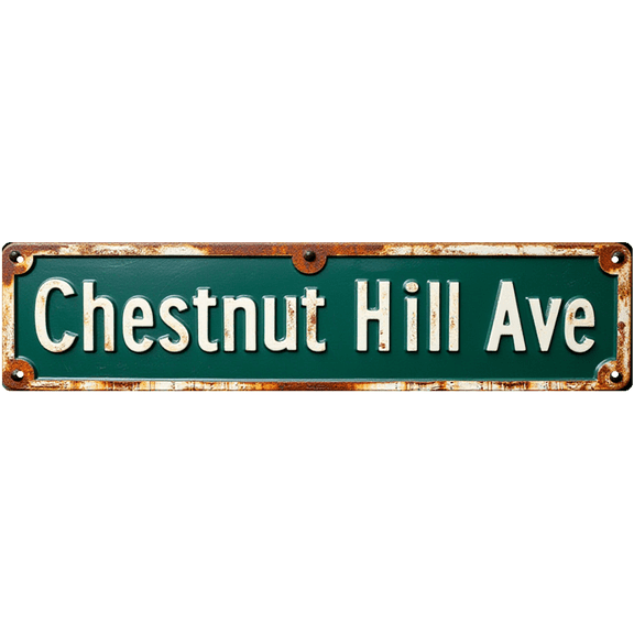 Decorative Tin Sign 16*4 Inch Chestnut Hill Ave Marker - For Family Room, Yard, Bar | family sign, backyard signs for outside, bar decorations for home