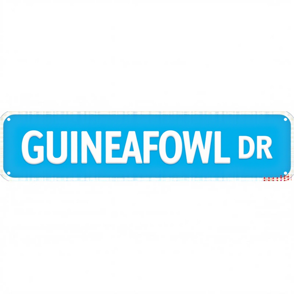 Decorative Tin Sign 16*4 Inches - Ideal for B"Guineafowl Dr" ackyard, Bedroom, Garage - Unique Wall Decor, Outdoor Signs, Vintage Decor for Home with Wildlife Theme