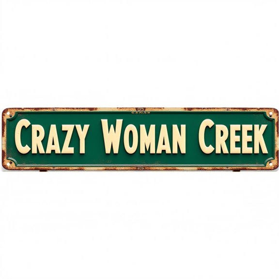 Decorative Tin Signs 16*4 Inches Crazy Woman Creek Street Sign Style for Bedroom, Backyard, Patio | Street Signs for Bedroom, Outdoor Sign, Vintage Decor for Home