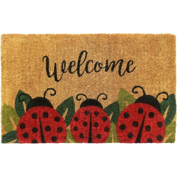 Decore Doormat Ladybug Doormat Outdoor Entrance Home Welcome Mat Balcony Patio Cute Mat 16x24 Inch